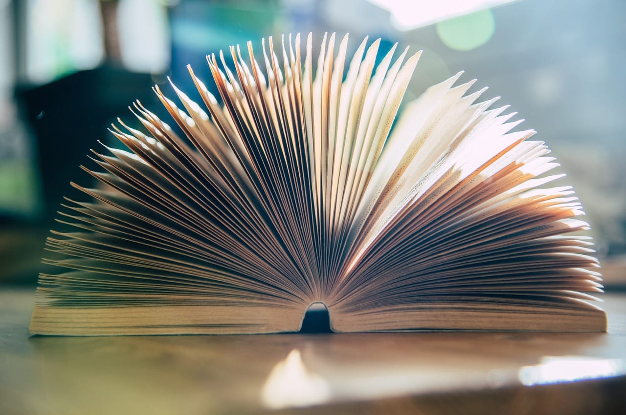 Surfing, plaże i lato w grudniu – życie na antypodach