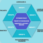 Matura międzynarodowa IB w Thames British School Warsaw jako przygotowanie do studiów za granicą